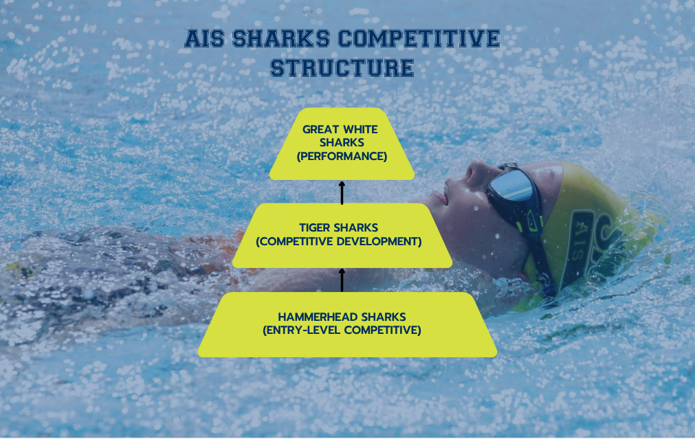 Competitive Squads Programme at Main AIS Pool - 